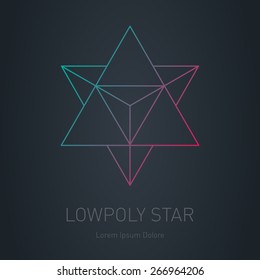 Star logo. Low poly figure made of triangles. Vector Lowpoly logotype or line design element.