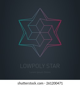 Star logo. Low poly impossible figure. Vector Lowpoly logotype or line design element.