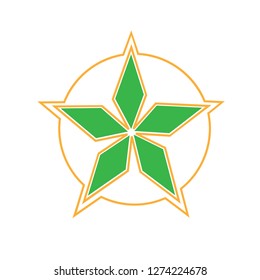 star logo with unique character