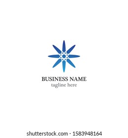 Star logo vector icon design