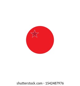 STAR LOGO VECTOR TEMPLATE ICON