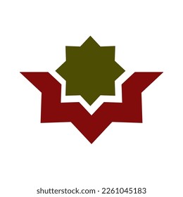 Star logotype design vector on white