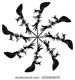 Estrella hecha de plumas de pájaro. Diseño de animales redondos. Silueta blanca y negra.