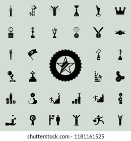 star in the medal icon. Sucsess and awards icons universal set for web and mobile
