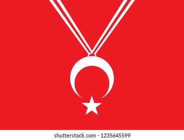 star and moon necklace red vector