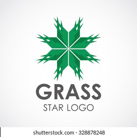 Star of nature grass abstract vector and logo design or template leaf business icon of environment company symbol concept