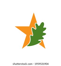 Star oak leaf logo design vector illustration, Creative oak tree logo design concept template, symbols icons