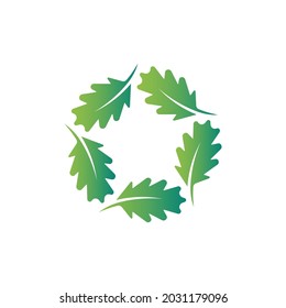 Star oak vector and green logo design friendly concept 