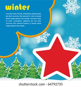 star on the winter background
