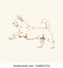 star running dog hand draw vintage vector