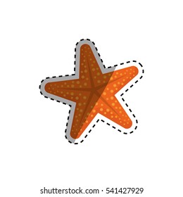 Star sea creature icon vector illustration graphic design