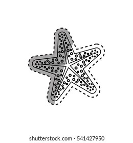Star sea creature icon vector illustration graphic design