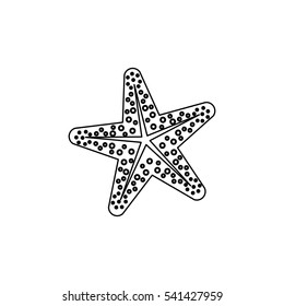 Star sea creature icon vector illustration graphic design