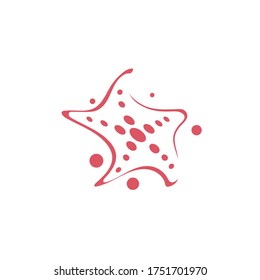 Star sea vector icon illustration design template