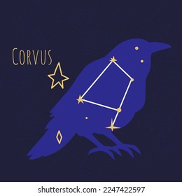 Star shape in form of bird, pleiad of celestial bodies or objects forming crow. Constellation of corvus, astrology exploring and giving names of formations and planets in space. Vector in flat style