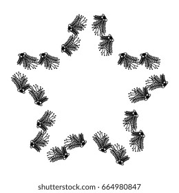 Star shaped floral frame