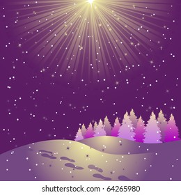 Star shining on the sky