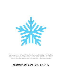 star with snowflake logo design vector
