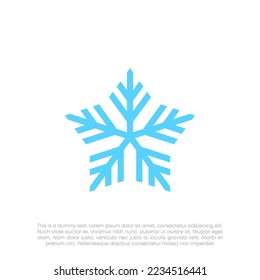 star with snowflake logo design vector