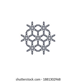 Star Snowflake Ornament Shape Vector