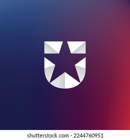 Star symbol inside shield. Vector