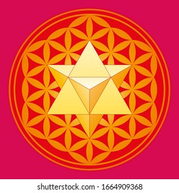 A star tetrahedron also called Merkaba, in the Flower of Life. A double tetrahedron in a geometrical figure, composed of overlapping circles, forming a flower-like pattern. Illustration. Vector.