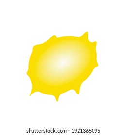 Starburst icon. Isometric illustration of starburst vector icon for web