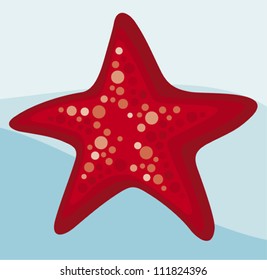 starfish