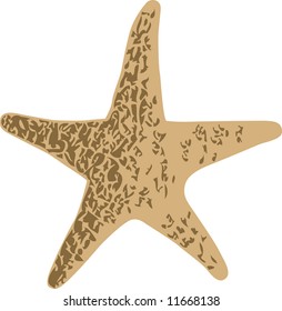 a star-fish