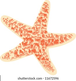a starfish
