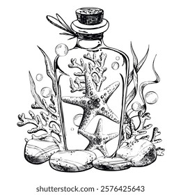 Starfish, algae, corals, pebbles and bubbles inside a glass bottle with a stopper. Hand drawn graphic illustration in black and white color line art. Sublimation arrangement on marine theme