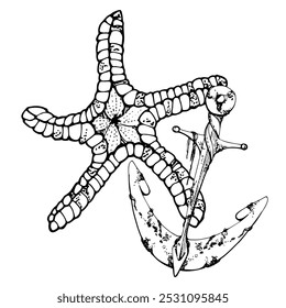 Starfish animal with anchor, Marine life, sea ocean underwater creatures animal, Ink and pen sketch hand drawn. Composition illustration, stylized isolated on white. Shop, aquarium, cosmetics, resort