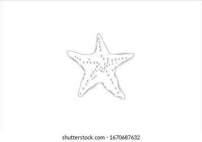 Starfish Animal Cartoon Vector Outline Illustration