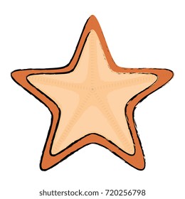 starfish animal isolated icon