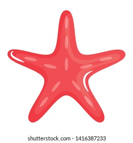 starfish animal shell isolated icon