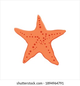 Starfish For Animal Vector Illustration