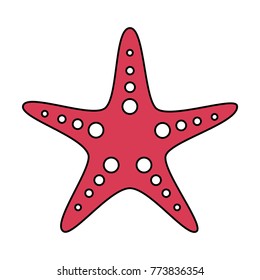 starfish animal wildlife ocean tropical