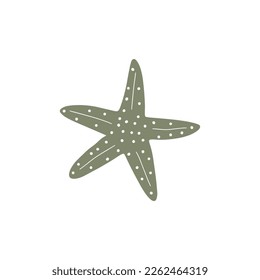 Starfish. Atlantic star. Marine Animal Vector illustration on white background.