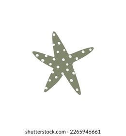 Starfish. Atlantic star. Marine Animal Vector illustration on white background.