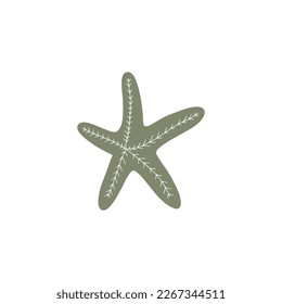 Starfish. Atlantic star. Marine Animal Vector illustration on white background.