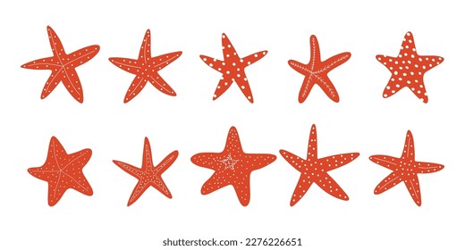 Starfish. Atlantic star. Marine Animal Vector illustration on white background.