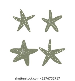 Starfish. Atlantic star. Marine Animal Vector illustration on white background.