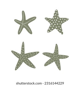 Starfish. Atlantic star. Marine Animal Vector illustration on white background.