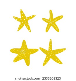 Starfish. Atlantic star. Marine Animal Vector illustration on white background.