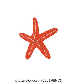 Starfish. Atlantic star. Marine Animal Vector illustration on white background.
