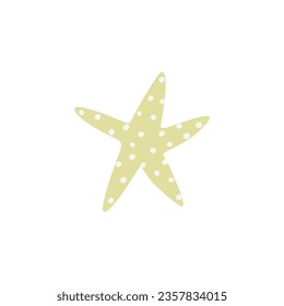 Starfish. Atlantic star. Marine Animal Vector illustration on white background.