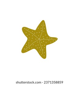 Starfish. Atlantic star. Marine Animal Vector illustration on white background.