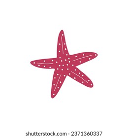 Starfish. Atlantic star. Marine Animal Vector illustration on white background.
