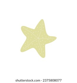 Starfish. Atlantic star. Marine Animal Vector illustration on white background.