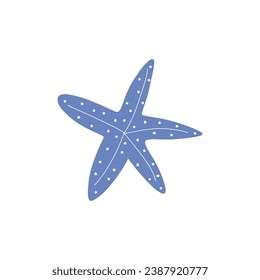 Starfish. Atlantic star. Marine Animal Vector illustration on white background.